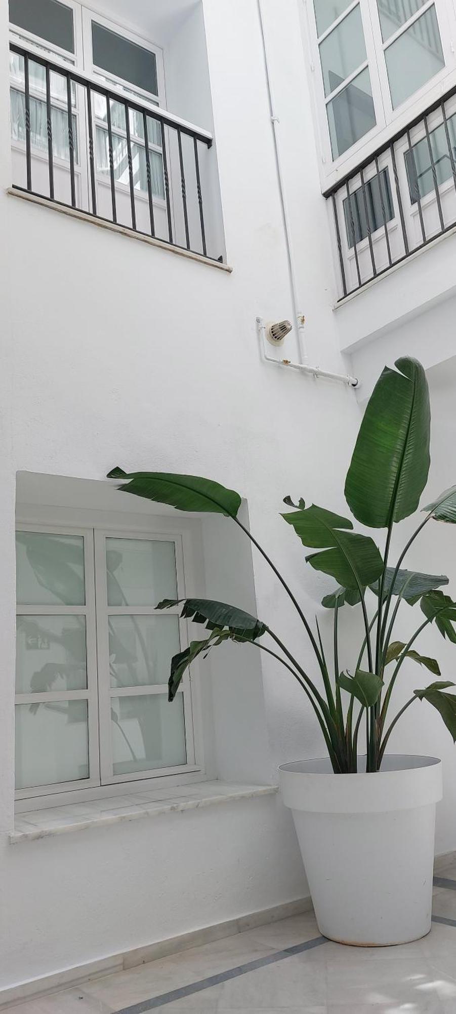 El 2 De Flamenco 1ºa Apartment กาดิซ ภายนอก รูปภาพ